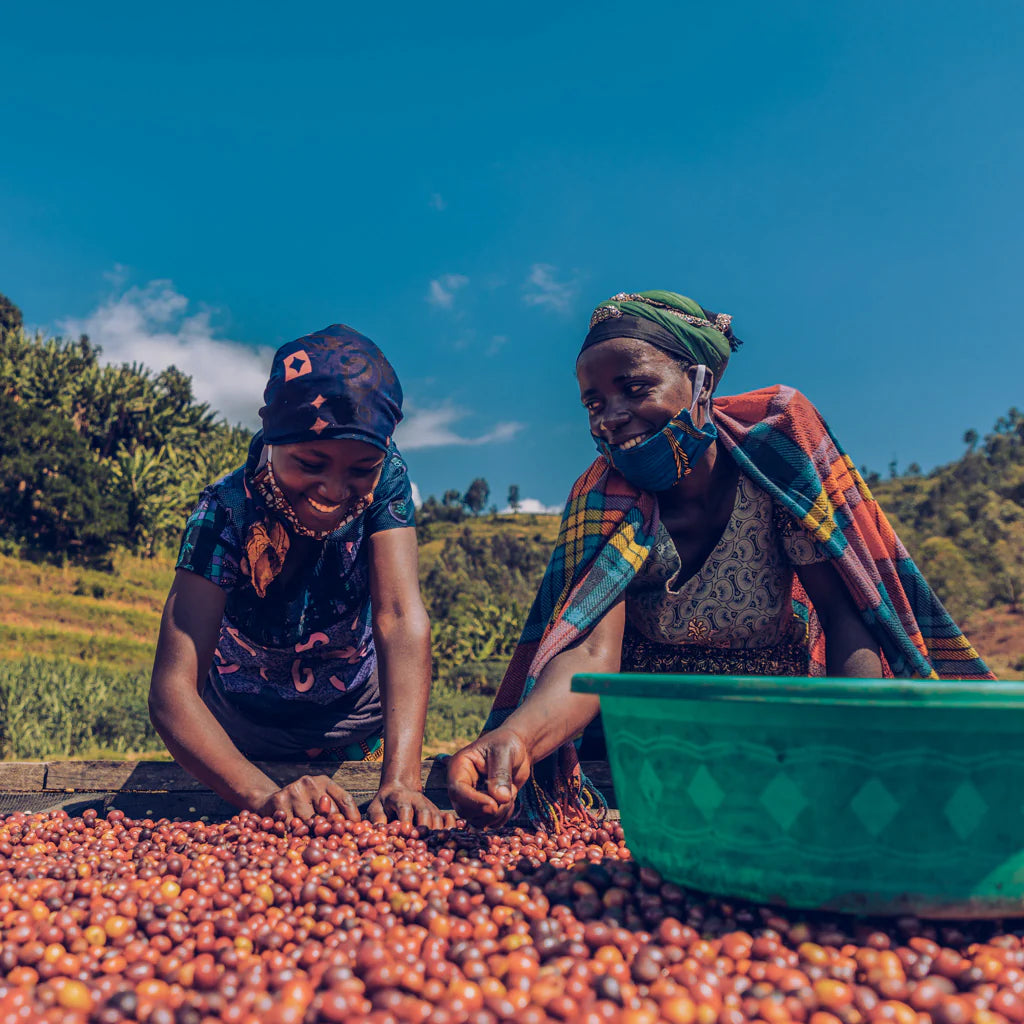 Rwanda Nyamasheke Muhororo 10oz