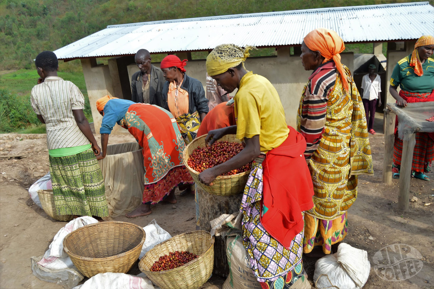 Burundi Turihamwe (Sweet and Bright)
