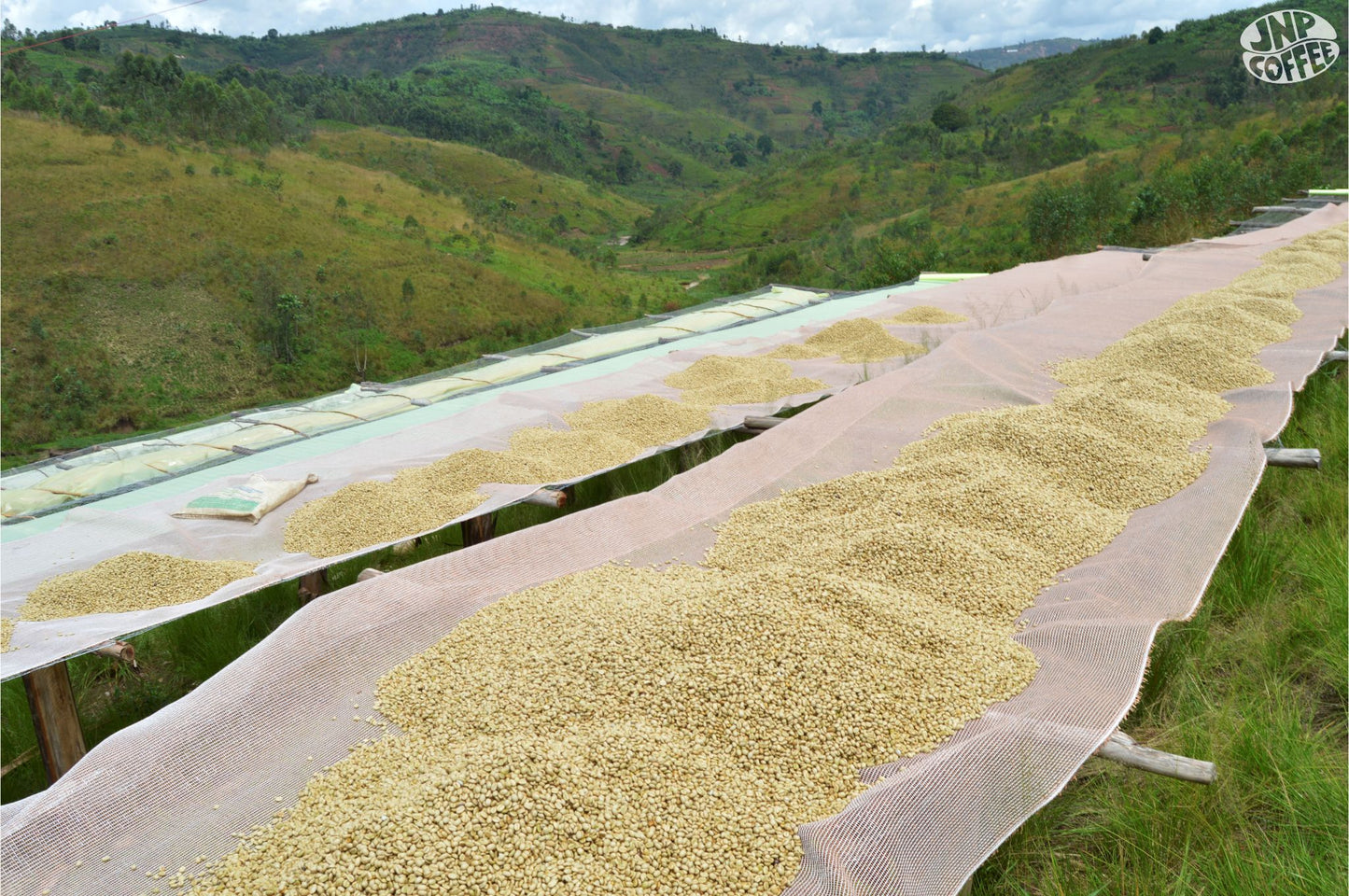 Burundi Turihamwe (Sweet and Bright)