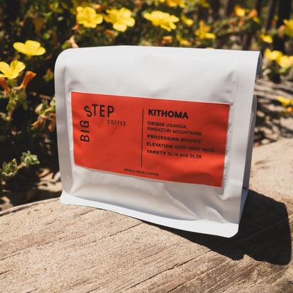 Uganda Rwenzori Mountains Kithoma (Earthy and Balanced)