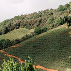 Albeiro Ramirez