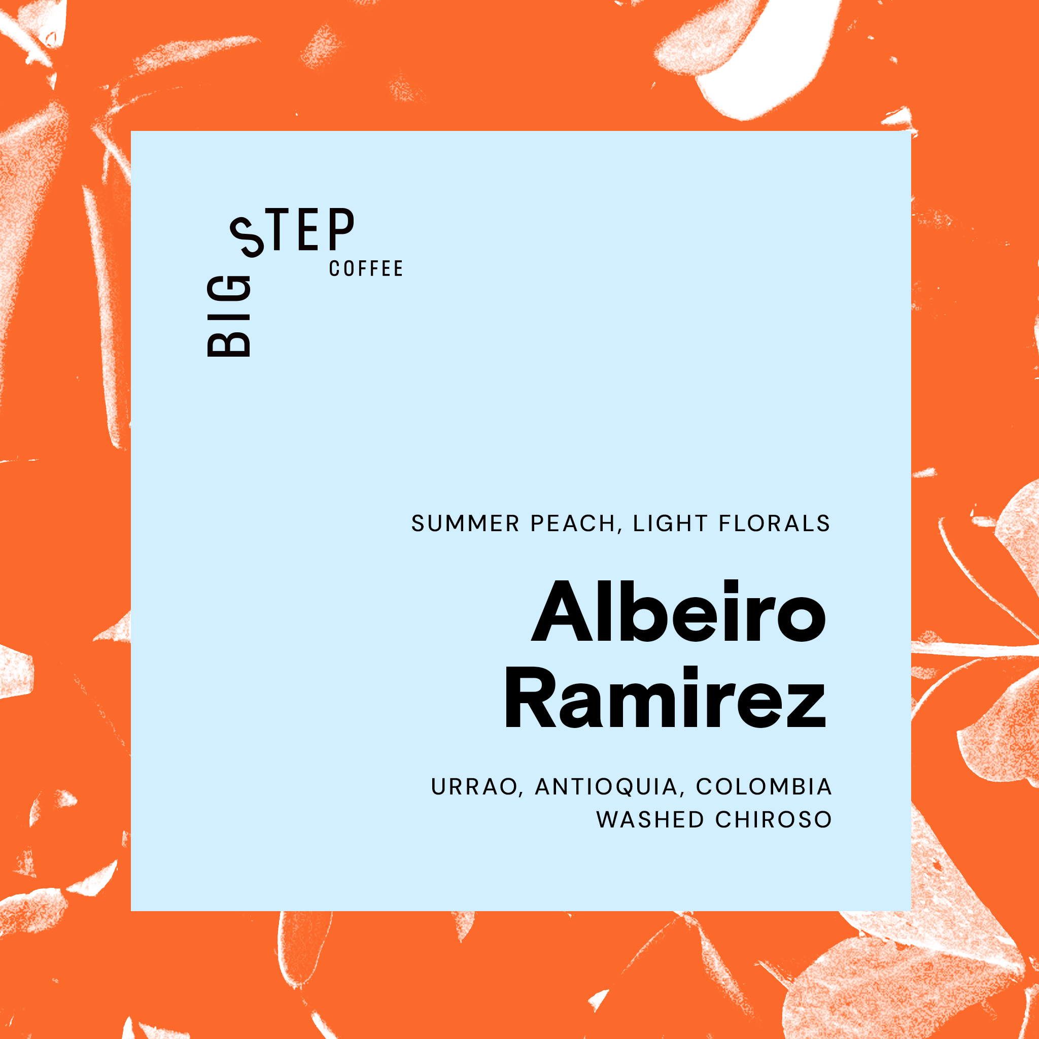 Albeiro Ramirez