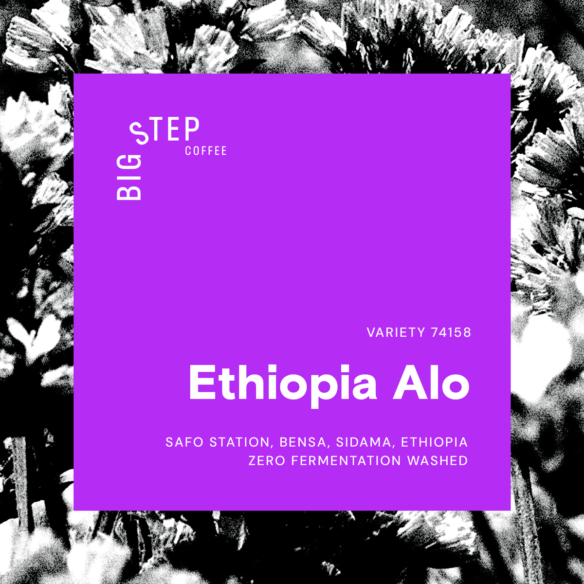 Ethiopia Alo (Faficho)