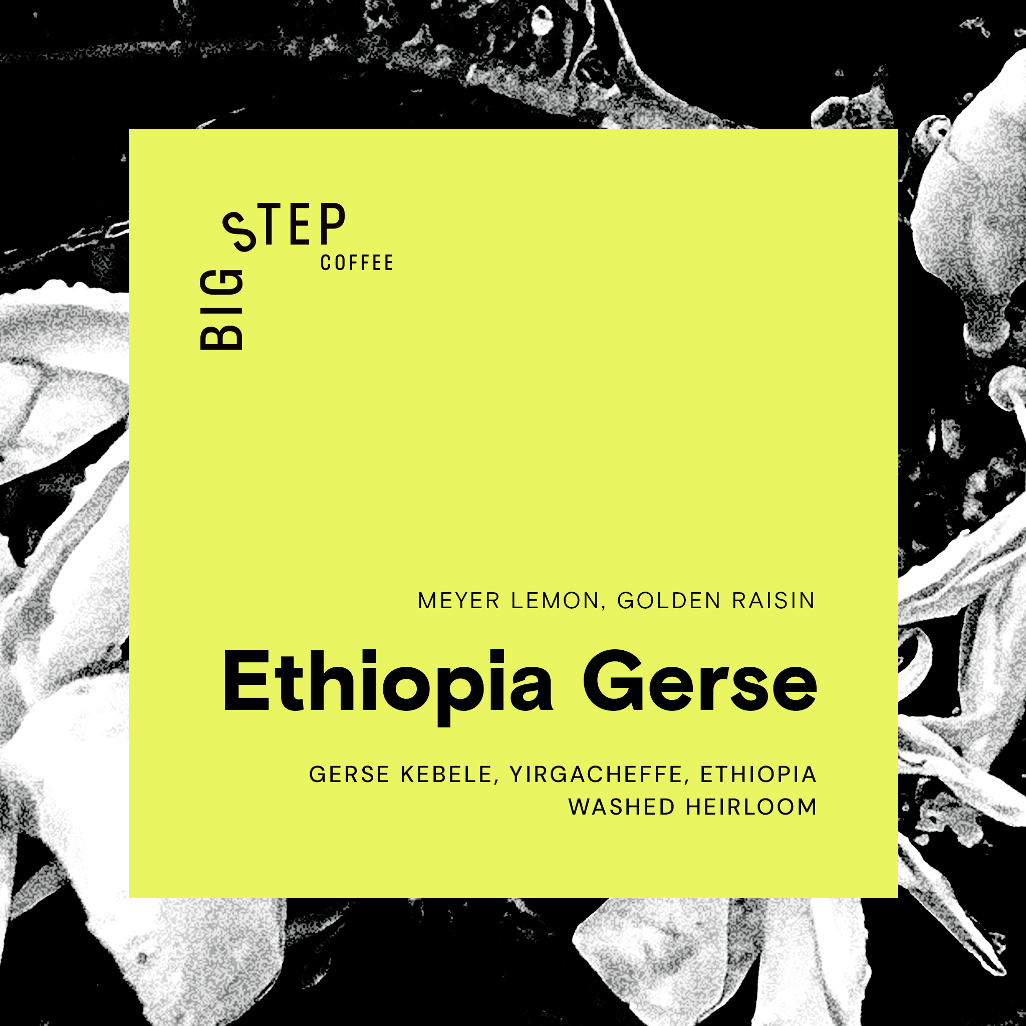 Ethiopia Gerse