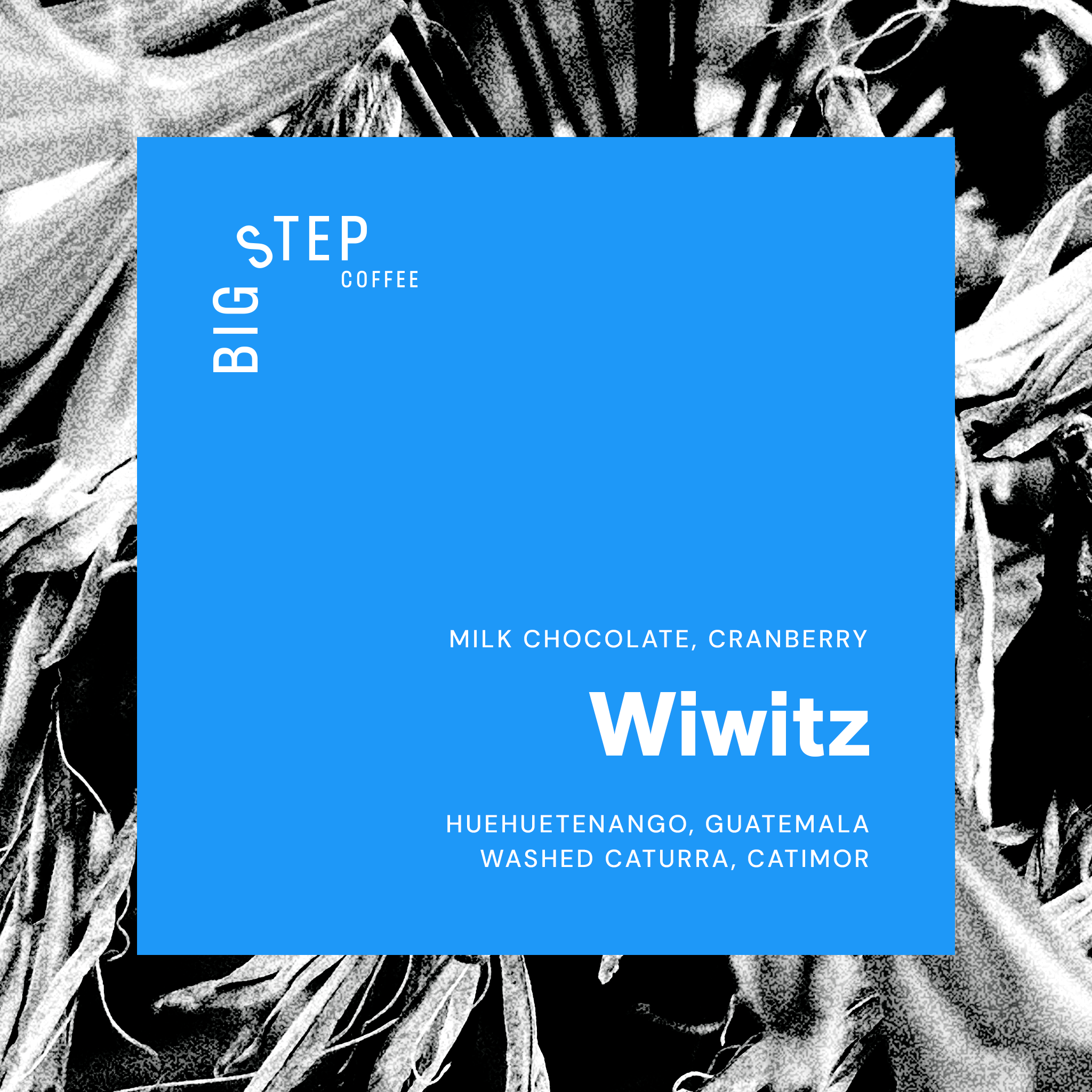 Guatemala Wiwitz