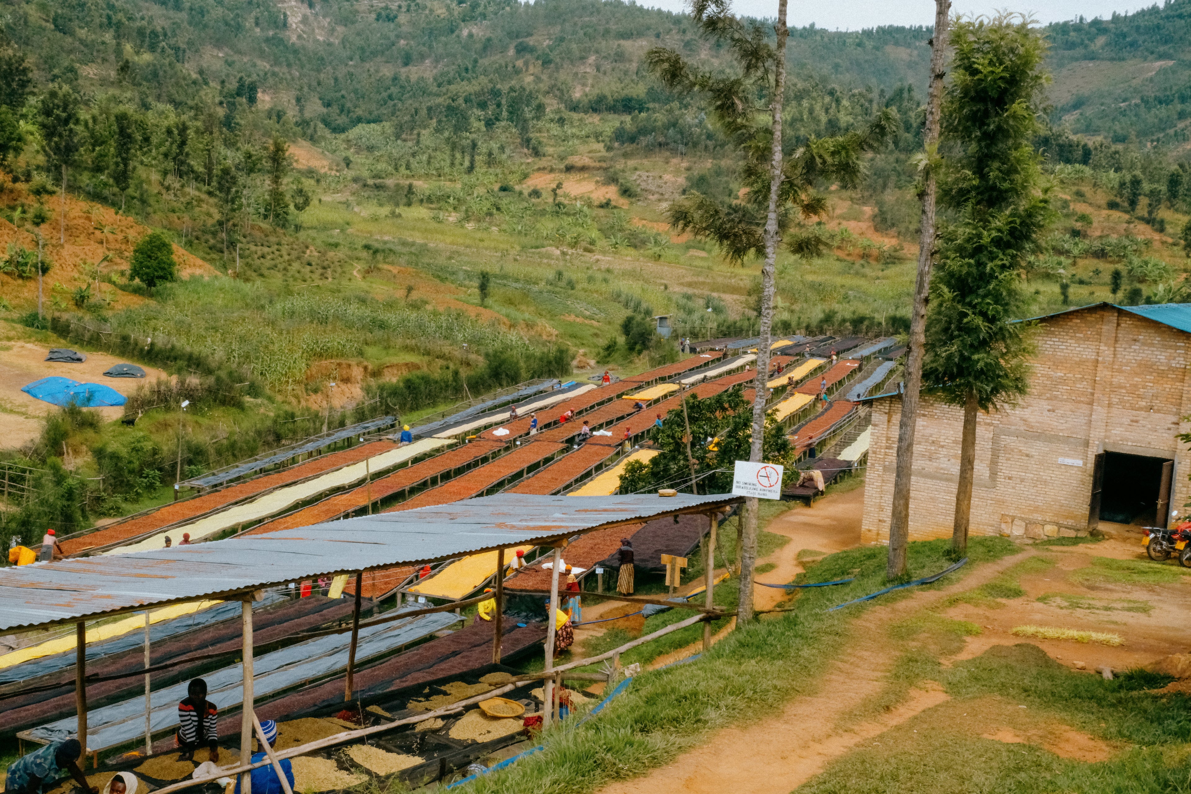 Kigoma Horizon