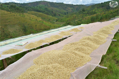 Burundi Turihamwe (Sweet and Bright)
