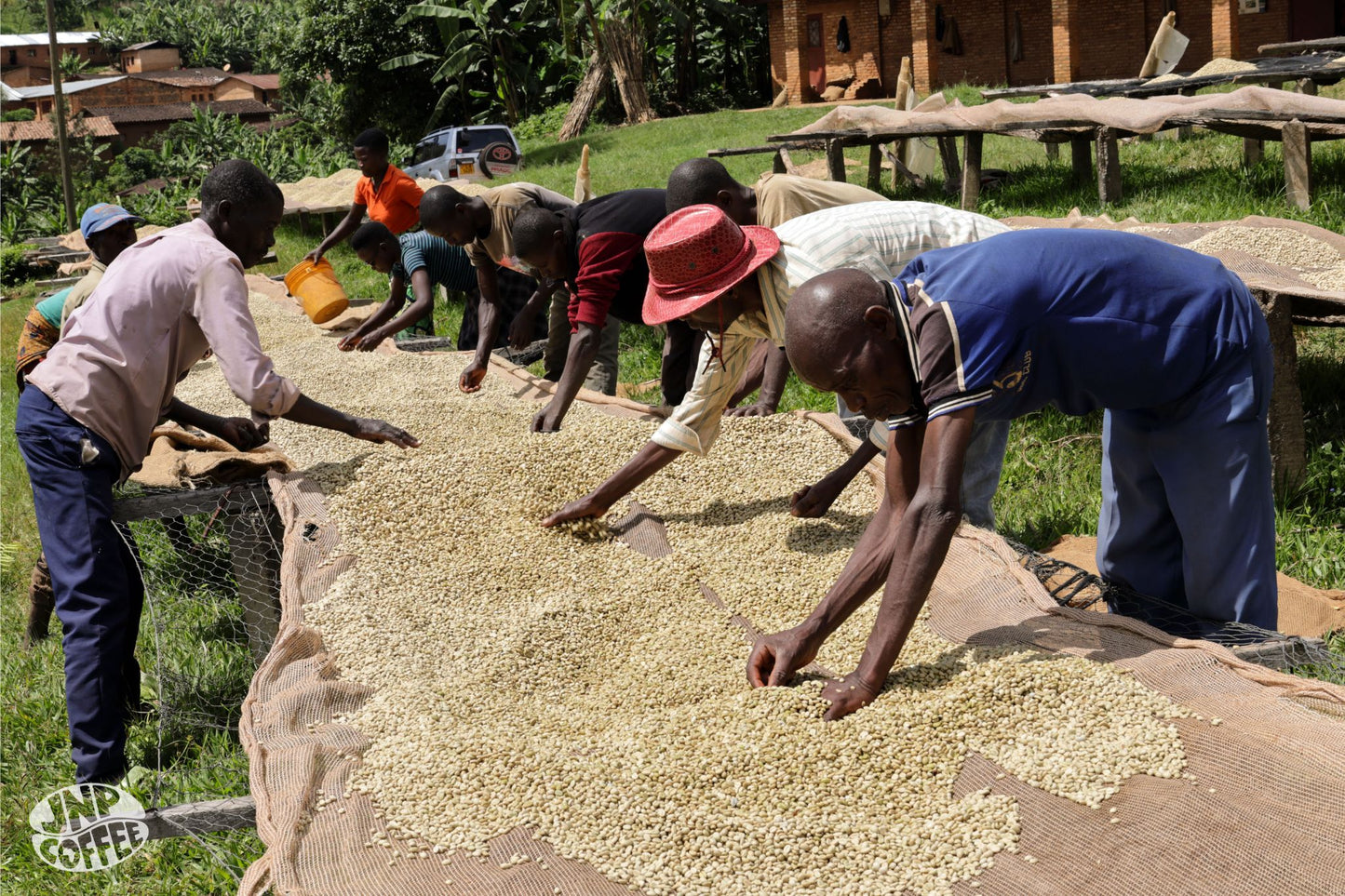 Burundi Matongo (Light Sweetness and Smooth)