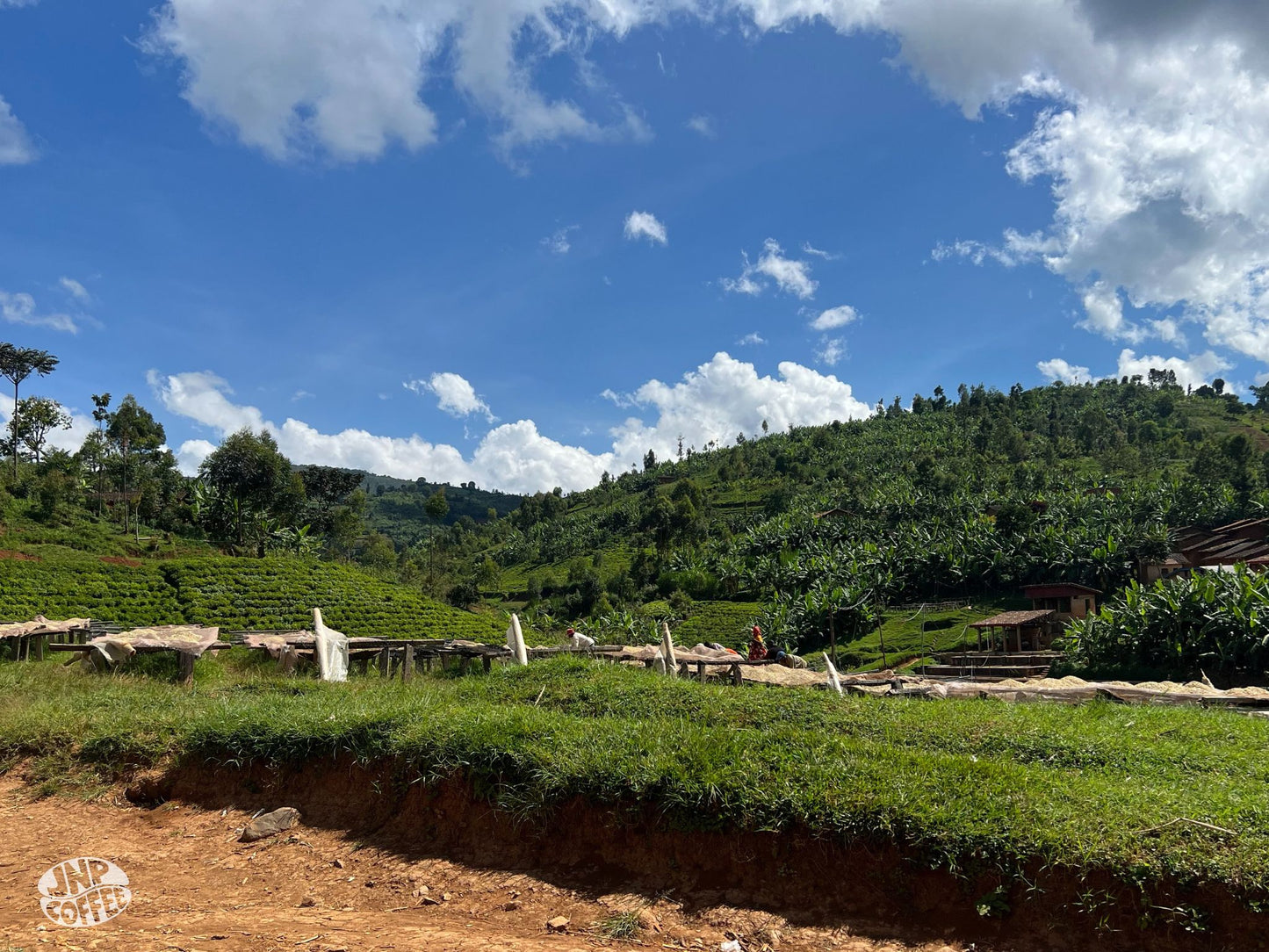 Burundi Matongo (Light Sweetness and Smooth)