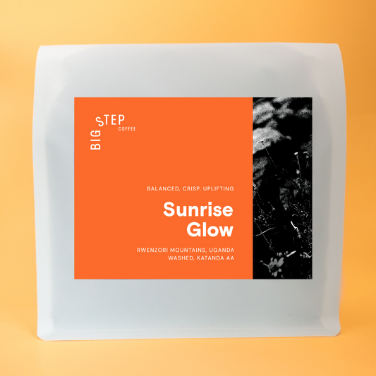 Katanda AA Uganda "Sunrise Glow"