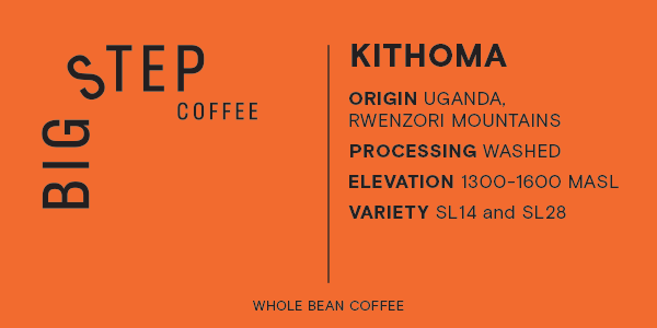 Uganda Rwenzori Mountains Kithoma (Earthy and Balanced)