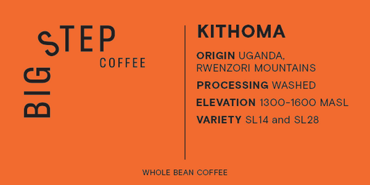 Uganda Rwenzori Mountains Kithoma - Medium Roast
