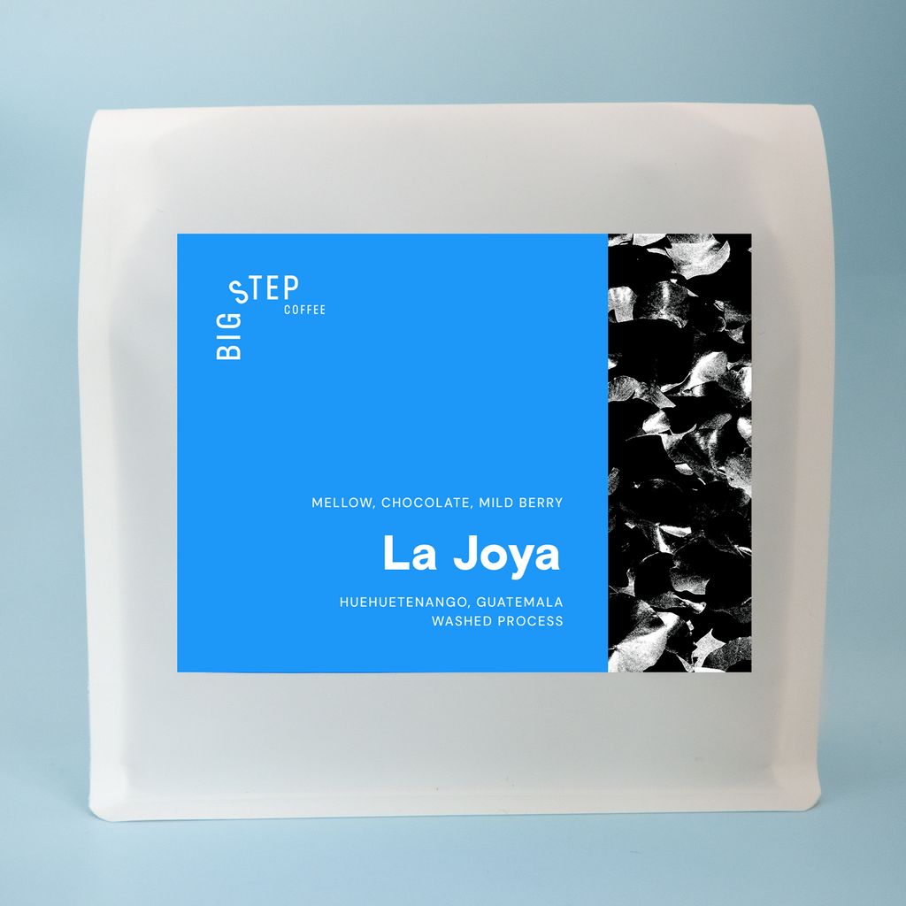 Rudy Lopez Castillo "La Joya"