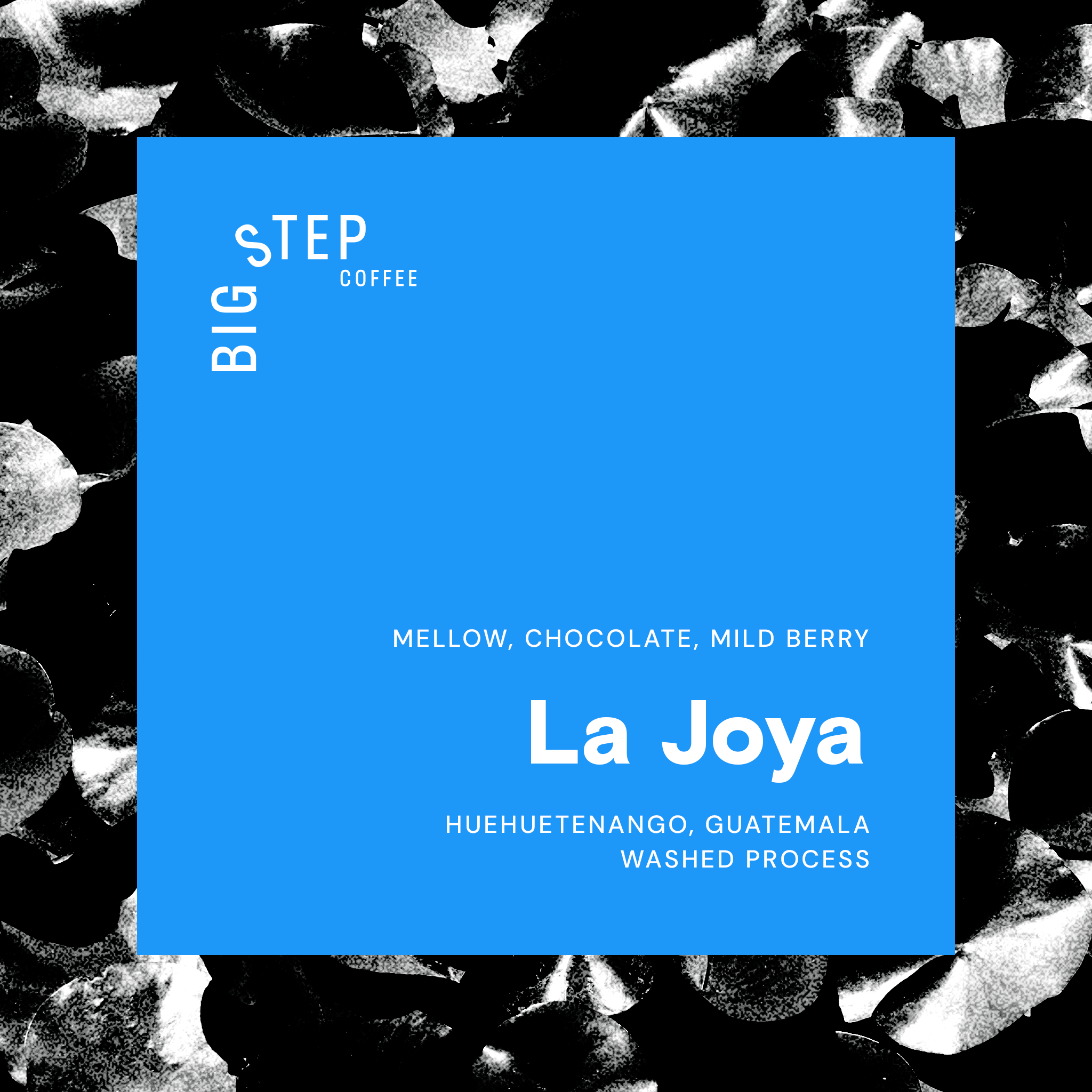Rudy Lopez Castillo "La Joya"