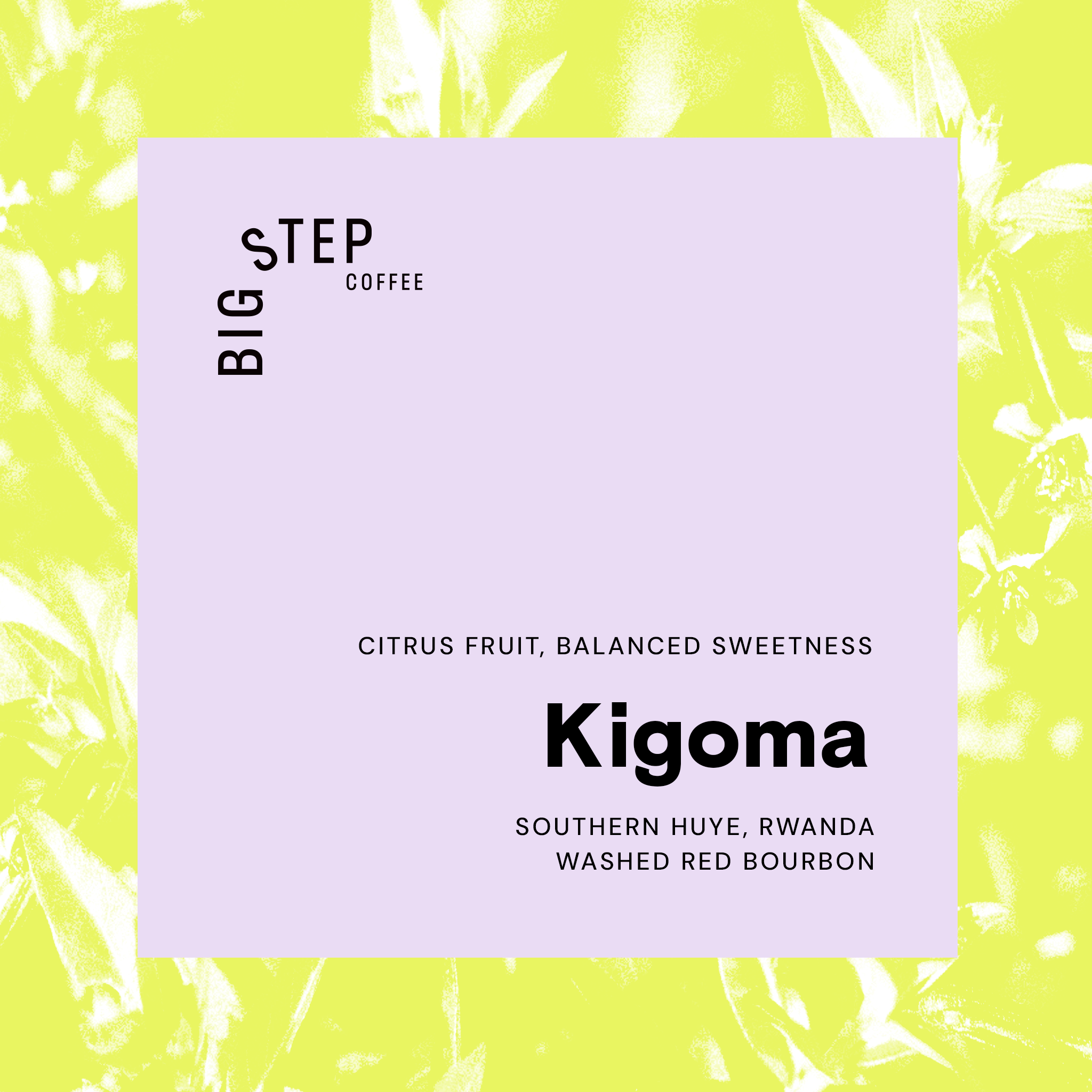 Kigoma Horizon