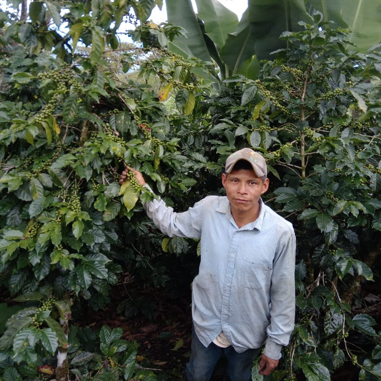 Guatemala Wiwitz